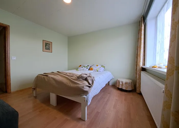 Viirpuu Puhkemaja Holiday home